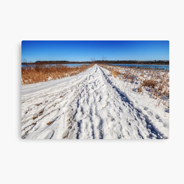 Item preview, Long winter's walk designed and sold by Owed To Nature.
