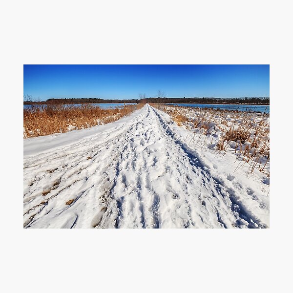 Item preview, Long winter's walk designed and sold by Owed To Nature.