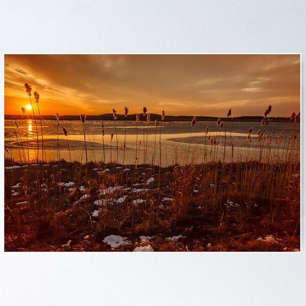 Item preview, Plum Island Gold designed and sold by Owed To Nature.