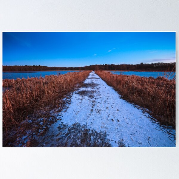 Item preview, Winter's path through Great Meadows designed and sold by Owed To Nature.