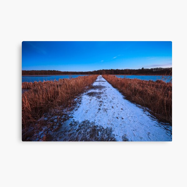Item preview, Winter's path through Great Meadows designed and sold by Owed To Nature.