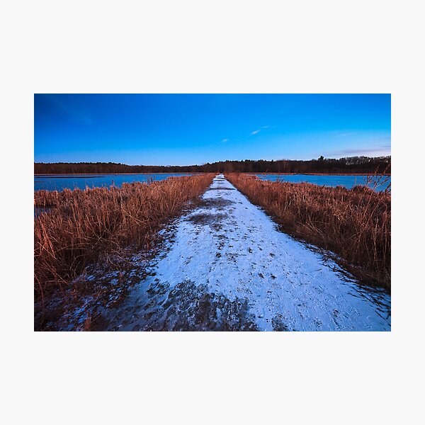 Item preview, Winter's path through Great Meadows designed and sold by Owed To Nature.