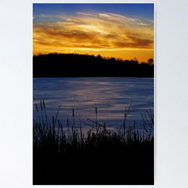 Item preview, Winter cattail's golden view designed and sold by Owed To Nature.