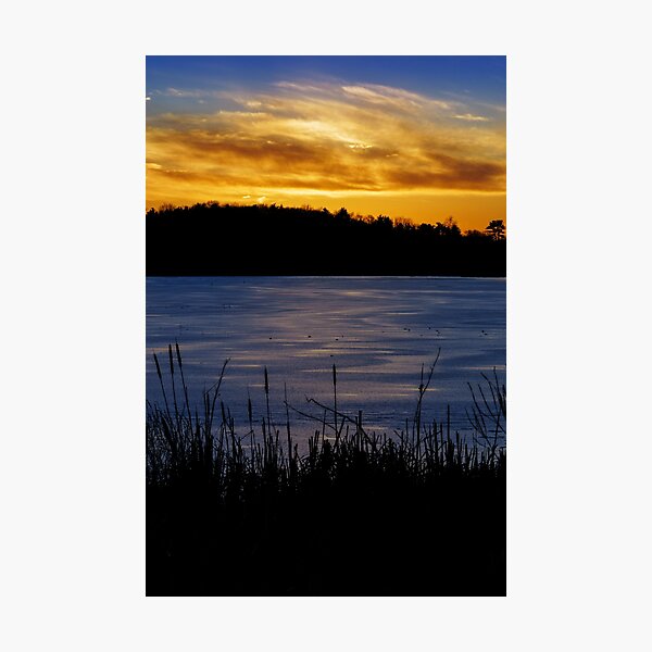 Item preview, Winter cattail's golden view designed and sold by Owed To Nature.