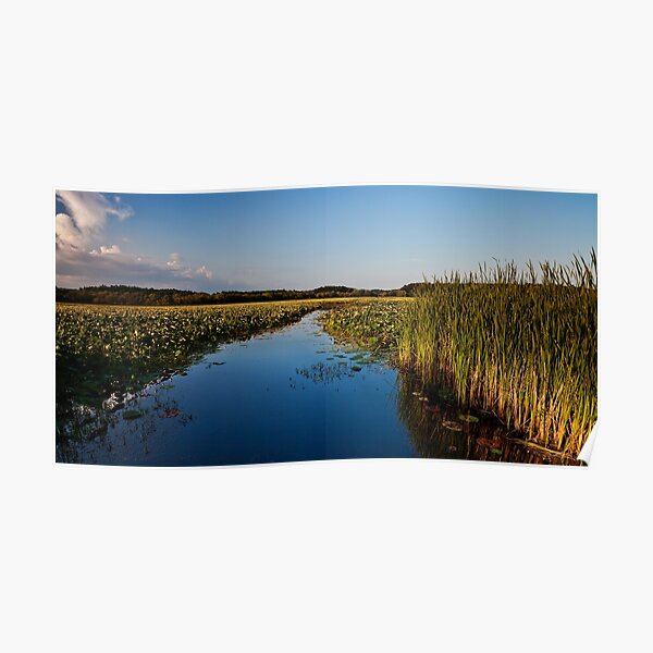 August flows through Great Meadows Poster