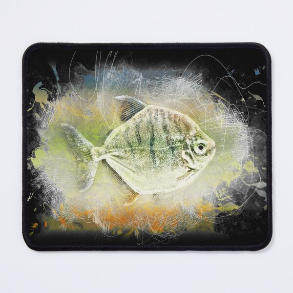 Item preview, Striped disc tetra - Metynnis fasciatus designed and sold by AquariumLutter.