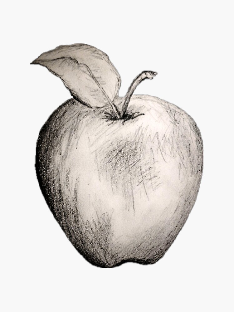 Drawing of a simple apple🍎 - how to draw 3d art | 3d sketches , still life drawing  Drawing tool: 0.5mechanical pencil,2h,6bpencil simple eraser Follow on  Instagram:@ashish_fire_art #3d drawing... | By Ashish