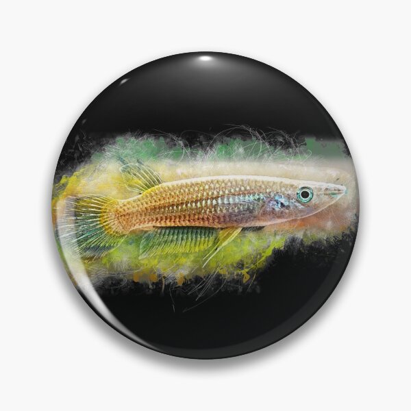 Item preview, Golden striped pike - Aplocheilus lineatus designed and sold by AquariumLutter.