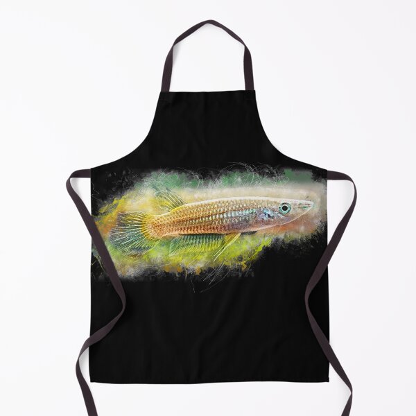 Aperçu de l'œuvre Brochet rayé d'or - Aplocheilus lineatus créée et vendue par AquariumLutter.