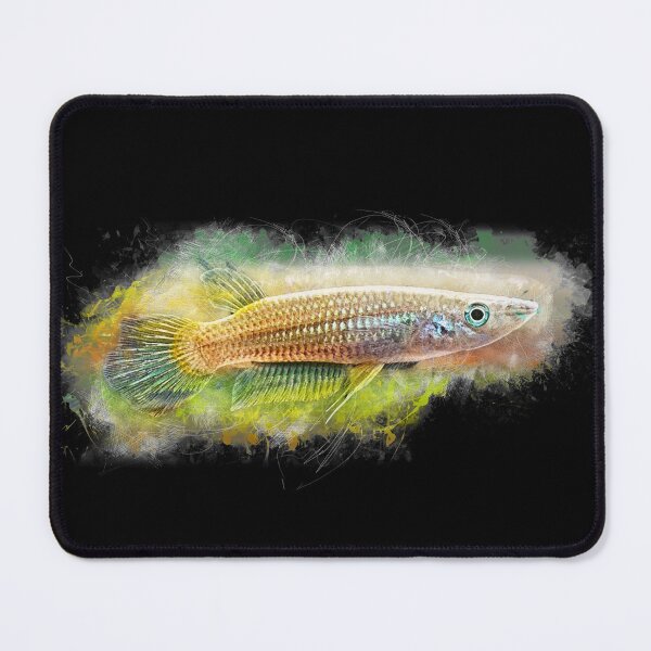 Item preview, Golden striped pike - Aplocheilus lineatus designed and sold by AquariumLutter.