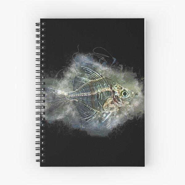 Item preview, Indian glass perch - Parambassis lala designed and sold by AquariumLutter.