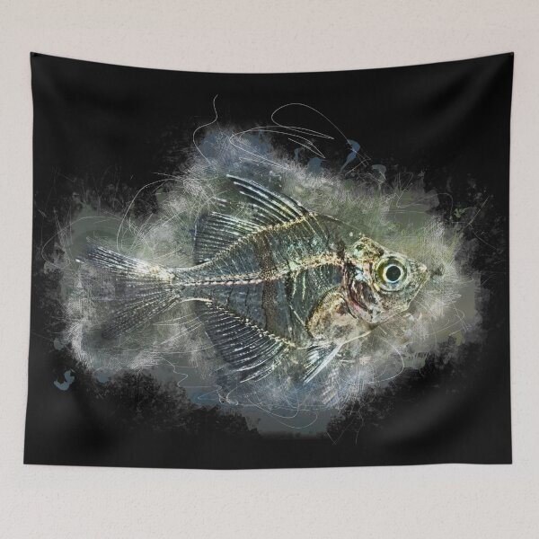Item preview, Indian glass perch - Parambassis lala designed and sold by AquariumLutter.