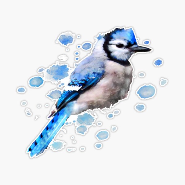 Watercolor Blue Jay Bird Wildlife Animal Temporary Tattoos