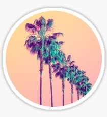Palm Trees Sticker