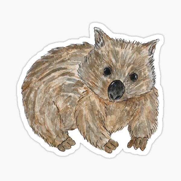 Aperçu de l'œuvre Wombat - Peinture animalière australienne créée et vendue par Art by Kathleen Stuart.