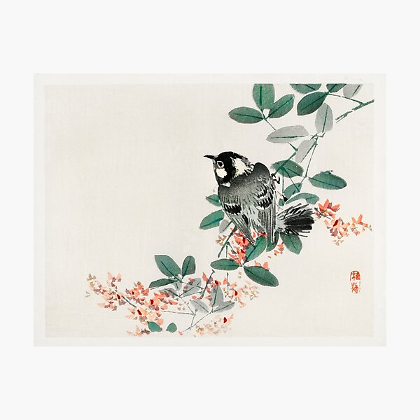 Item preview, Black-capped chickadee - Kōno Bairei  designed and sold by chamomile-cafe.