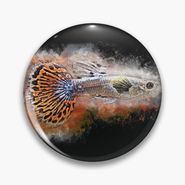 Item preview, Guppy Elephant Ear - Poecilia reticulata designed and sold by AquariumLutter.