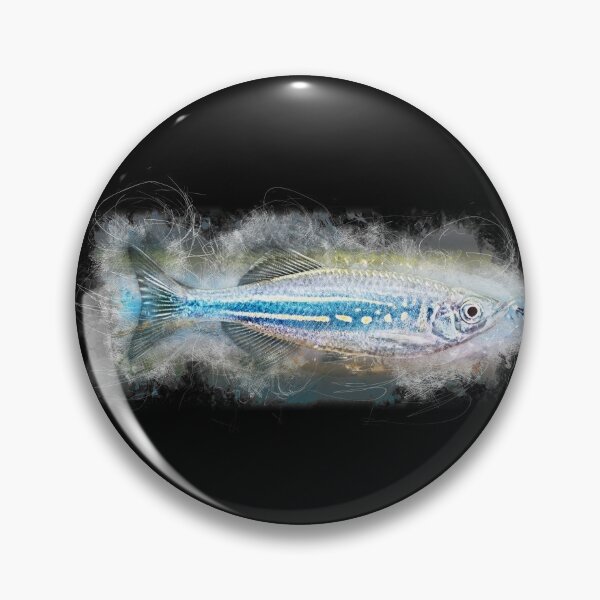 Item preview, Malabar Parrot - Danio aequipinnatus designed and sold by AquariumLutter.