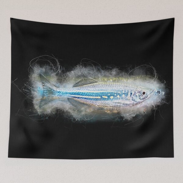 Item preview, Malabar Parrot - Danio aequipinnatus designed and sold by AquariumLutter.