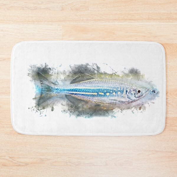 Item preview, Malabar Parrot - Danio aequipinnatus designed and sold by AquariumLutter.