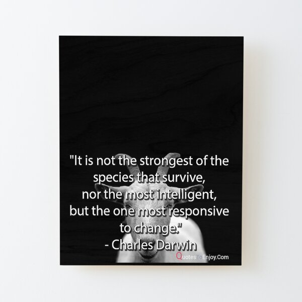 It is not the strongest of the species that survive, nor the most intelligent, but the one most responsive to change. – Charles Darwin Wood Mounted Print