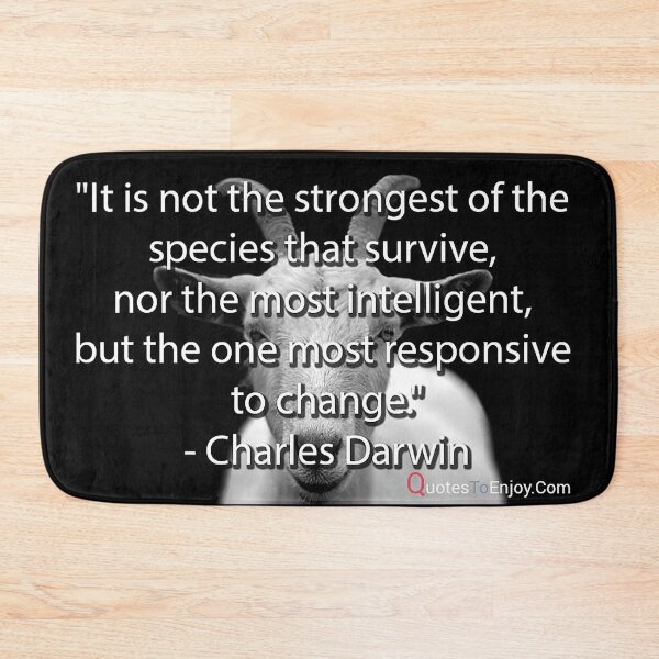 It is not the strongest of the species that survive, nor the most intelligent, but the one most responsive to change. – Charles Darwin Bath Mat