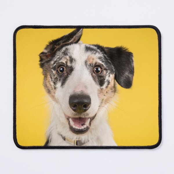 Item preview, Cute Multi Colored Dog with Yellow Background. designed and sold by cgroenewald.