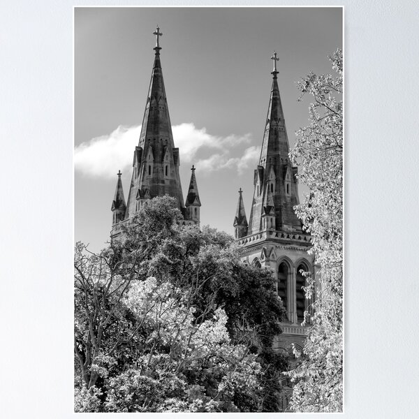 Item preview, South Australia in Black and White - St Peters Cathedral Adelaide - Photographic Print designed and sold by nickegglington.