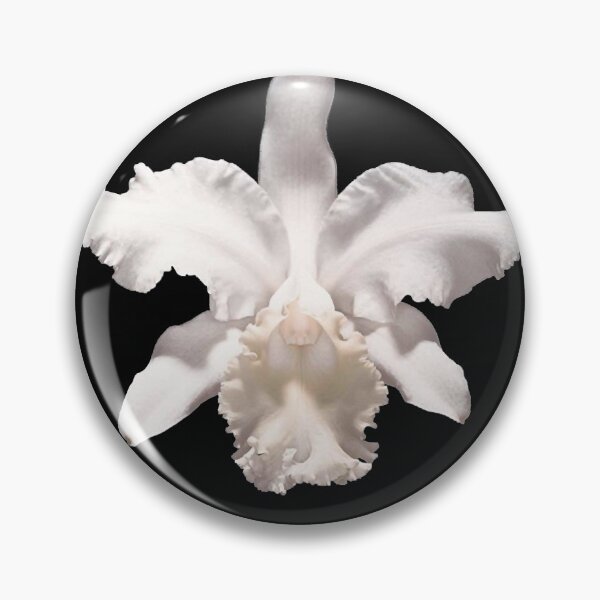 Item preview, KOL aha shake heartbreak Classic designed and sold by JamesMartin02.