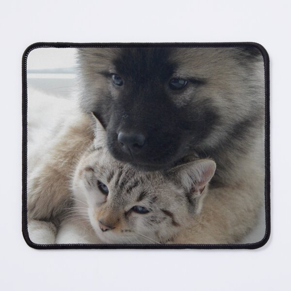 Item preview, Cuddling Kitten and Puppy designed and sold by cgroenewald.