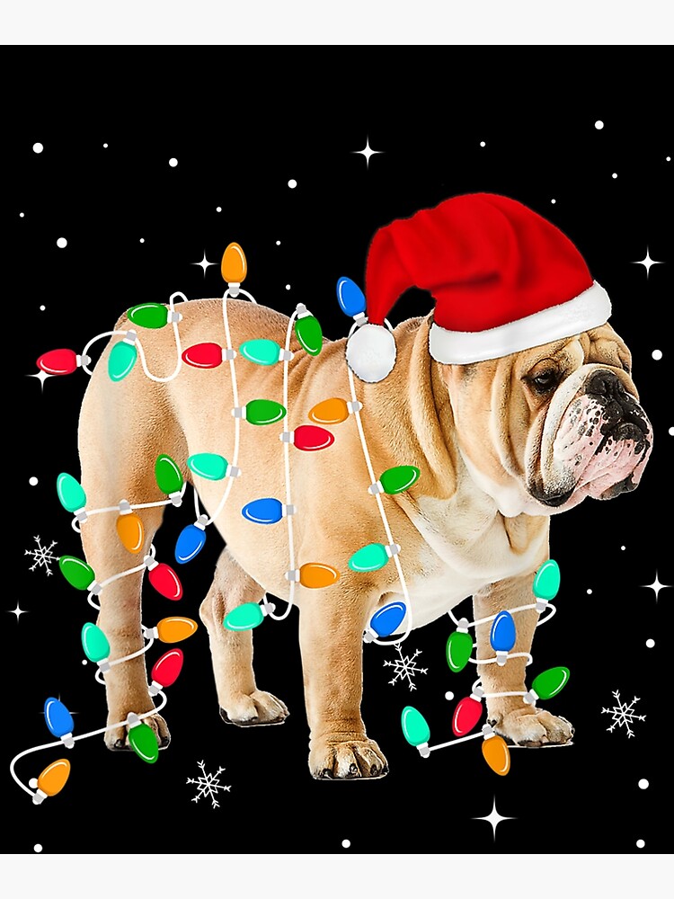 Funny English Bulldog Christmas Light Gifts Xmas T-Shirt Funny English Bulldog Christmas Light Gifts Xmas T-Shirt