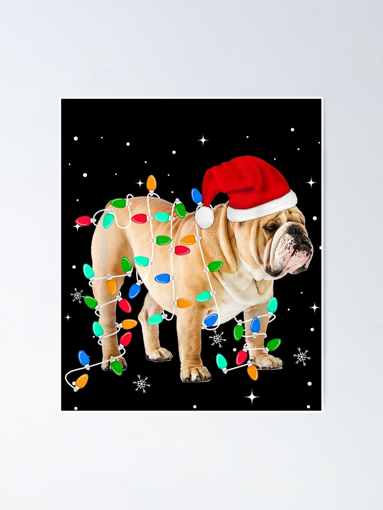 Funny English Bulldog Christmas Light Gifts Xmas T-Shirt Funny English Bulldog Christmas Light Gifts Xmas T-Shirt