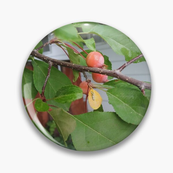 Item preview, Young Crab Apple designed and sold by Caryn Pinkston.