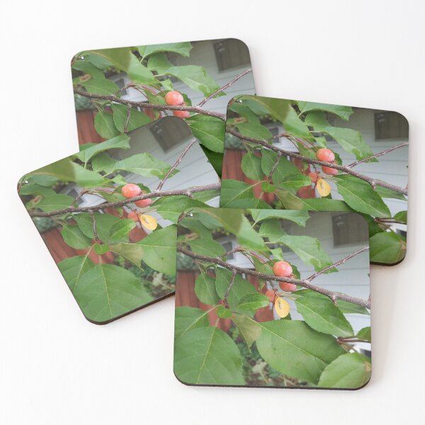 Item preview, Young Crab Apple designed and sold by Caryn Pinkston.