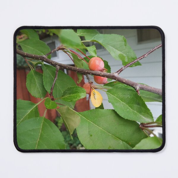 Item preview, Young Crab Apple designed and sold by Caryn Pinkston.