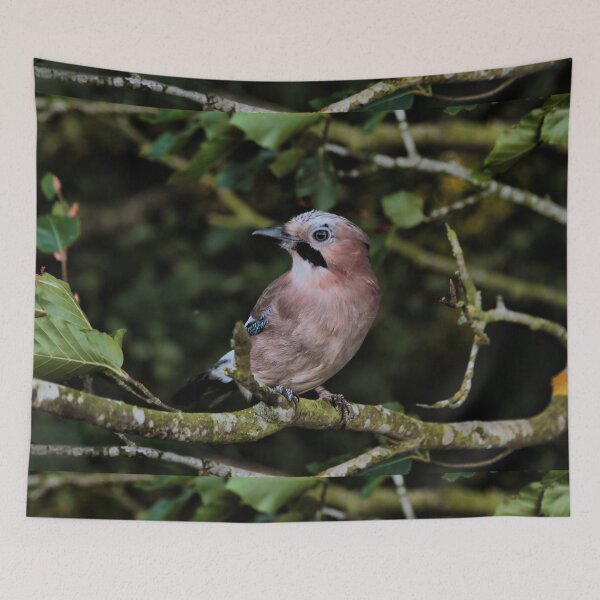 Item preview, Jay Bird designed and sold by FXST.