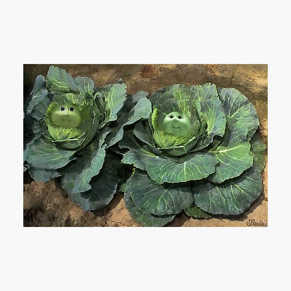 gordon ramsay cabbage patch kid