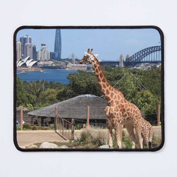 Item preview, Harbour Views designed and sold by kirstybush.
