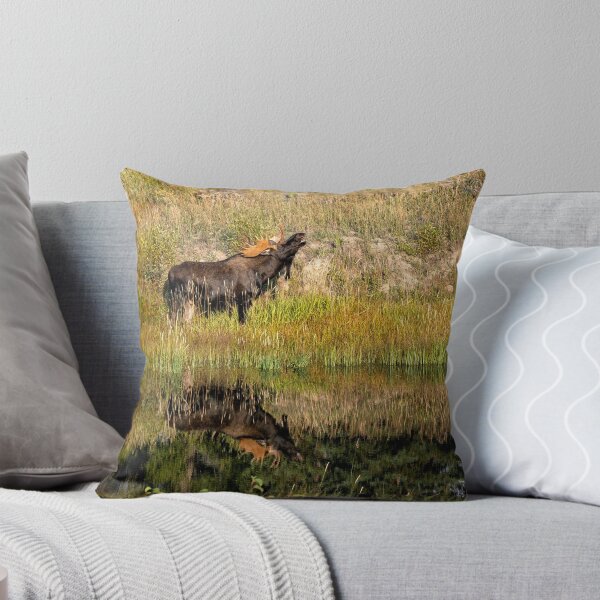 Item preview, Moose in the Tetons - Wyoming designed and sold by Kathy Weaver.