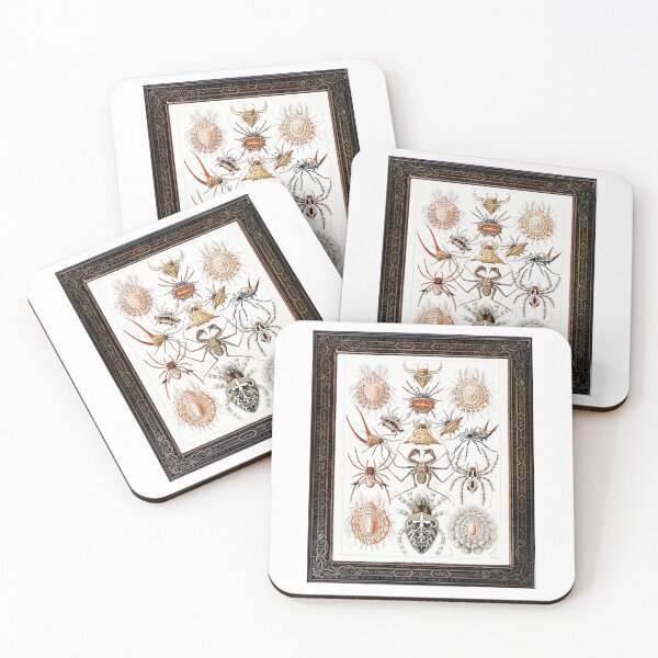 Item preview, Zoological board Arachnids - Zoological designs and zoology boards designed and sold by AdvanceDesign.