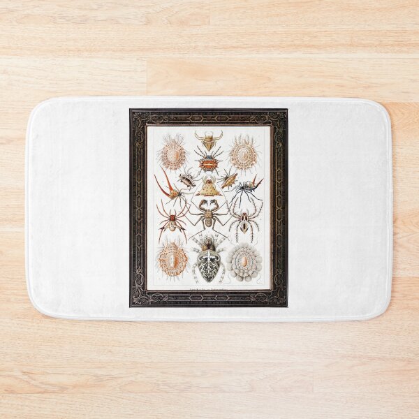 Item preview, Zoological board Arachnids - Zoological designs and zoology boards designed and sold by AdvanceDesign.