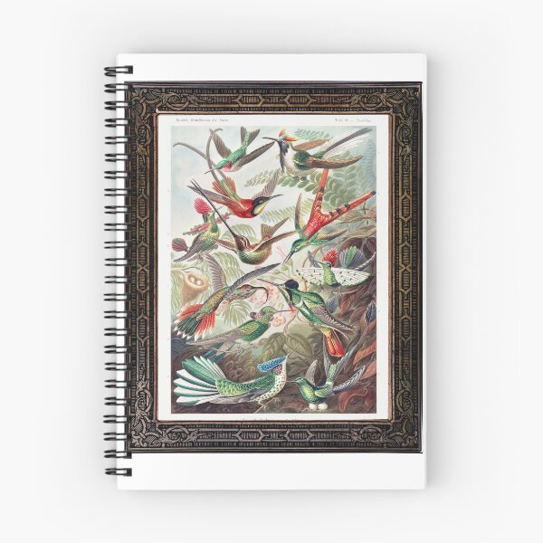 Item preview, Zoological board Hummingbirds - Zoological designs and zoology boards designed and sold by AdvanceDesign.