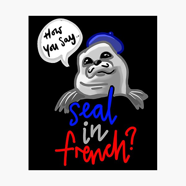 seal-in-french-meme-how-you-say-seal-in-french-meme-photographic