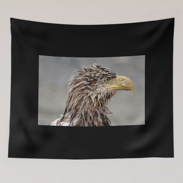 Item preview, Wet Head Juvenile Bald Eagle designed and sold by ADM  Photography.