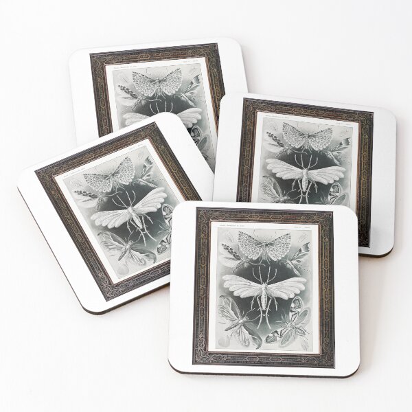 Item preview, Zoological board Moths - Zoological designs and zoology boards designed and sold by AdvanceDesign.