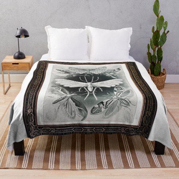 Item preview, Zoological board Moths - Zoological designs and zoology boards designed and sold by AdvanceDesign.