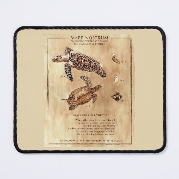 Item preview, Hawksbill Turtle Poster - Mare Nostrum designed and sold by Marie Bordet.
