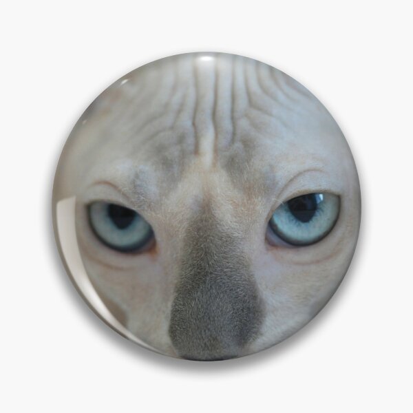Item preview, Cute domestic sphinx cat blue eyed designed and sold by olena2552.