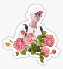 Pegatina Pink Jin BTS