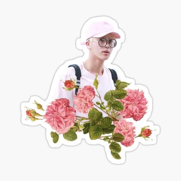 Pink Jin BTS Sticker